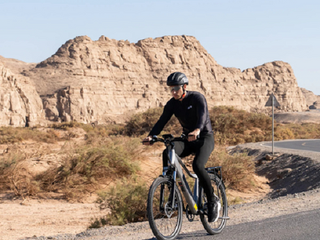 6 Robuuste Elektrische Fiets Heren Modellen Voor Sportieve Prestaties