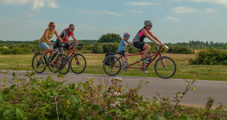 De 10 beste longtail elektrische fiets modellen voor gezinnen in 2025.