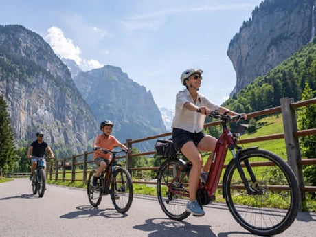 Top 6 Zuinige Opties Als U Een Goedkope Elektrische Fiets Zoekt Nu