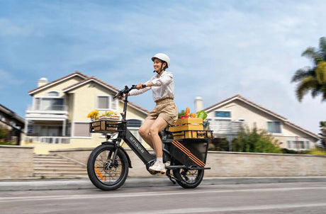Universele display elektrische fiets: past deze op elke e-bike?