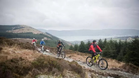 Ontdek de ultieme fietsroute loonse en drunense duinen voor jouw avontuur