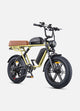 Motorfiets-stijl E-bike