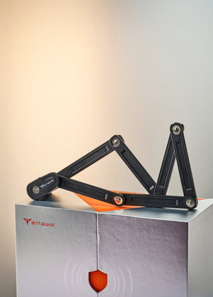 12-jarig jubileum giftbox（Gratis cadeau bij aankoop van een e-bike）