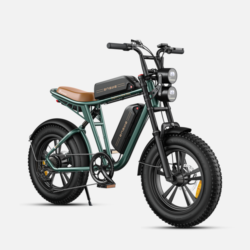 ENGWE M20